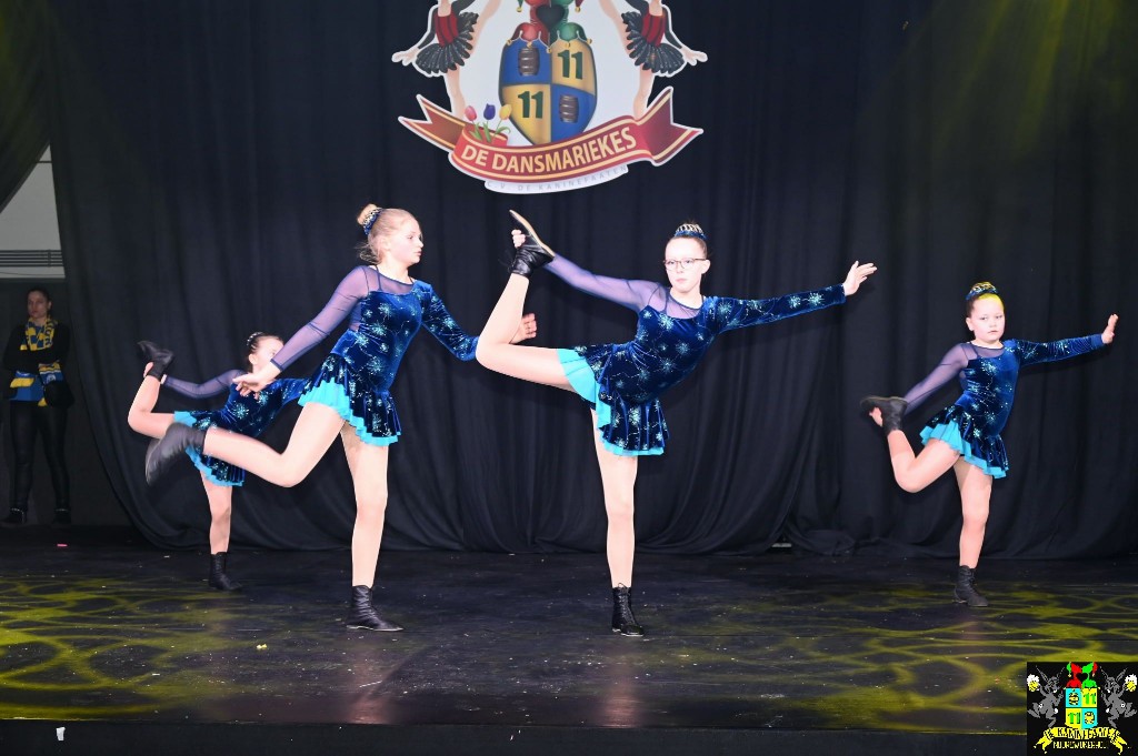 ../Images/Dansmariekefestival 2026 121.jpg